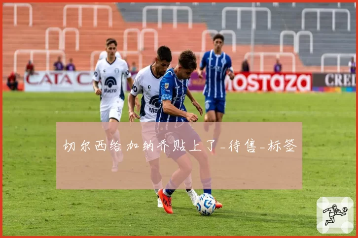 切尔西给加纳乔贴上了_待售_标签