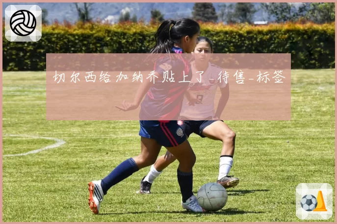 切尔西给加纳乔贴上了_待售_标签