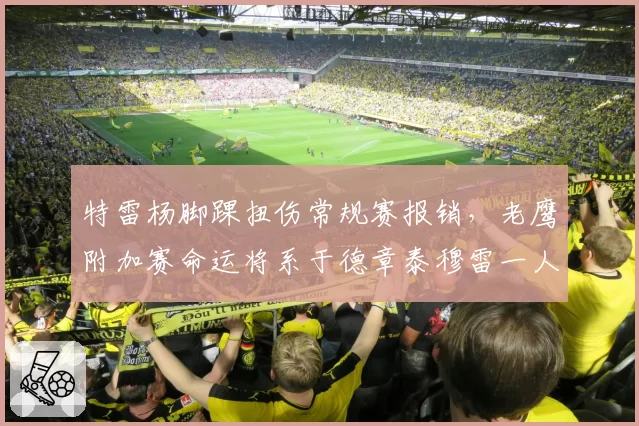 特雷杨脚踝扭伤常规赛报销,老鹰附加赛命运将系于德章泰穆雷一人?