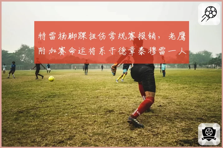 特雷杨脚踝扭伤常规赛报销,老鹰附加赛命运将系于德章泰穆雷一人?